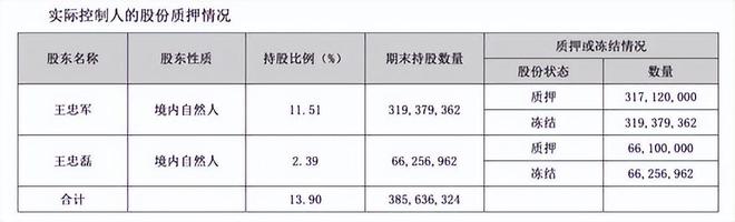 弟“倒台”背后是哥俩理不清的“烂账”澳门新葡京网页7年亏损80亿！华谊兄(图4)