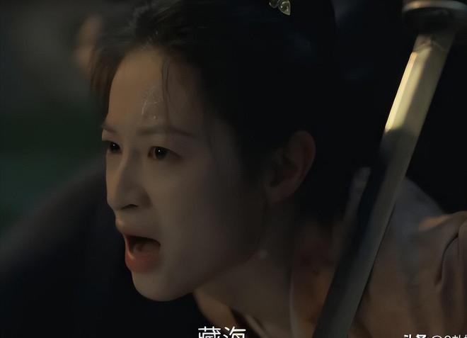 第三人赵秉文殒命高明牺牲藏海辞官归隐澳门新葡京网站《藏海传》40集结局：(图7)